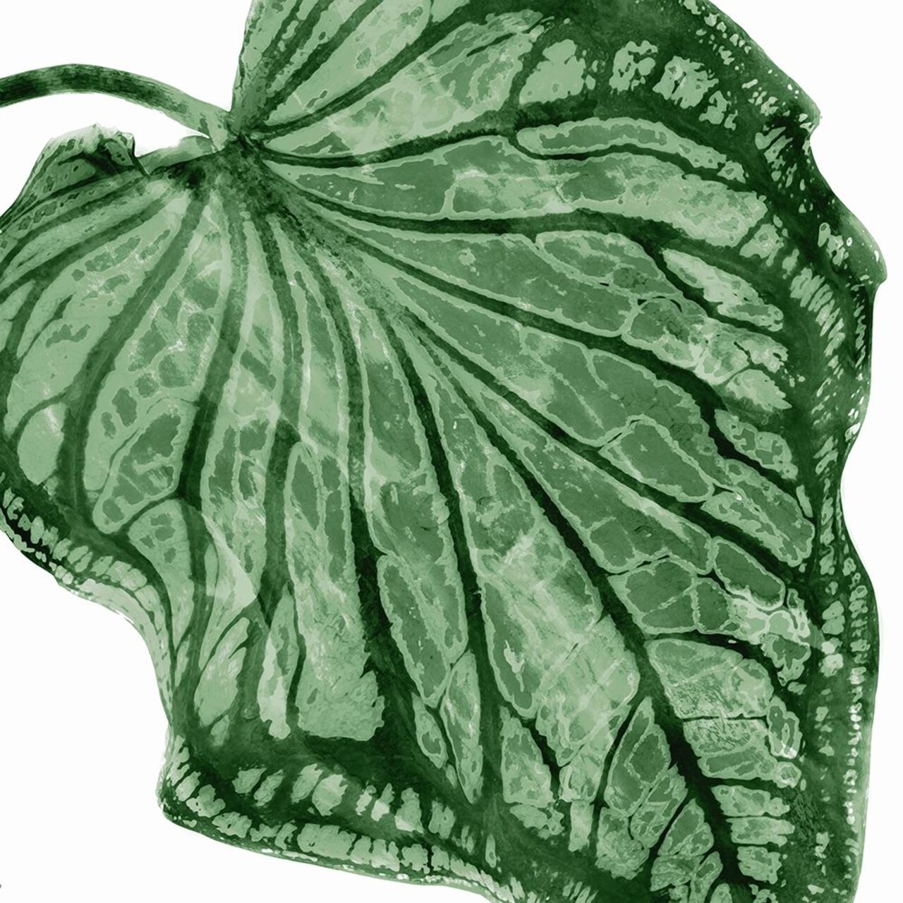 Tropical Green Palm III Poster Print by Melonie Miller # MMR116787